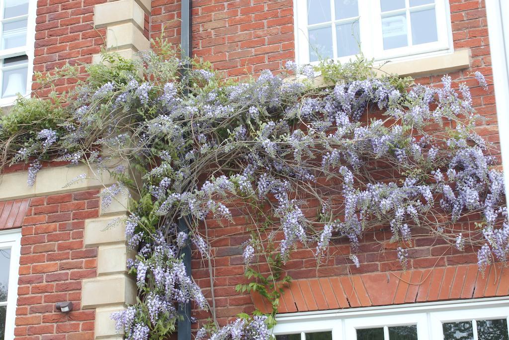 Austons Down Farm B&B Claverdon Kültér fotó
